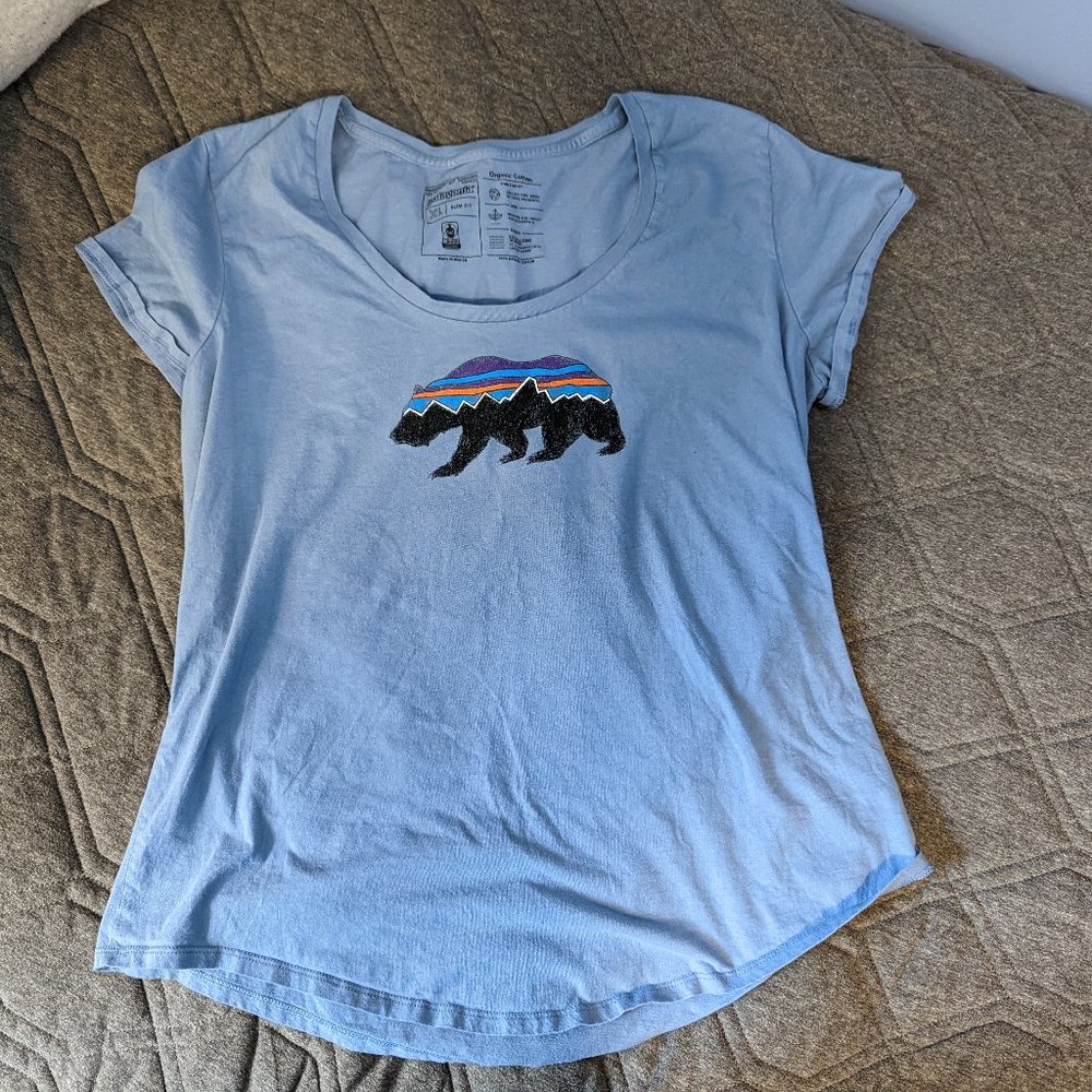 Patagonia Fitz Roy Organic Scoop Neck T Shirt
